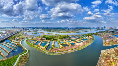航拍阳明滩湿地