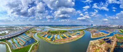 航拍阳明滩湿地
