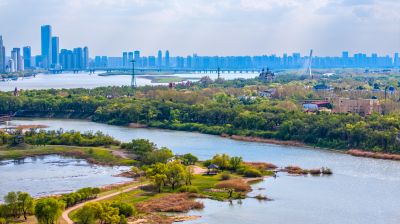 太阳岛湿地