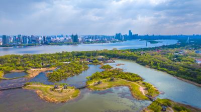 太阳岛湿地