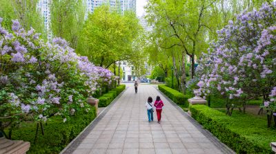公路大桥