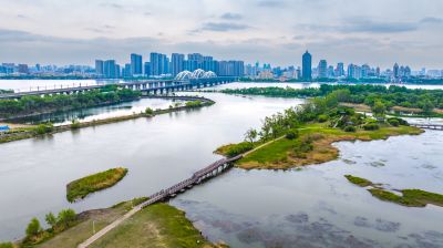 太阳岛湿地