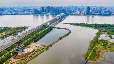 太阳岛湿地