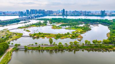 太阳岛湿地