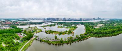 太阳岛湿地