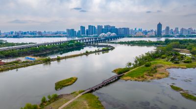 太阳岛湿地