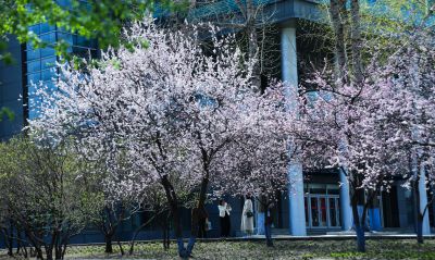 哈尔滨工程大学杏花节