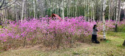 春季省植物园