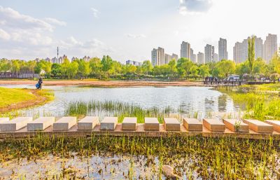 春天的丁香公园 丁香花开游人满园