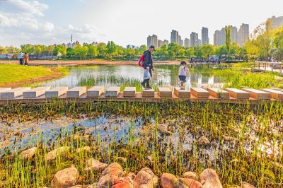 春天的丁香公园 丁香花开游人满园