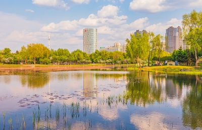 春天的丁香公园 
