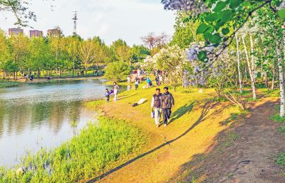 春天的丁香公园 