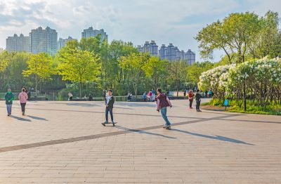 春天的丁香公园 