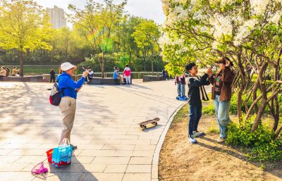 春天的丁香公园 