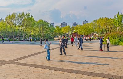 春天的丁香公园 