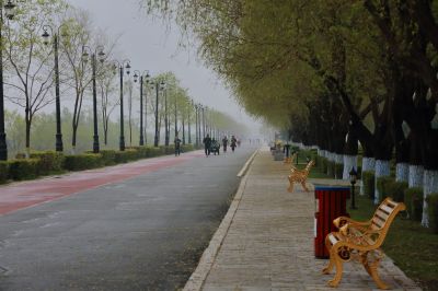 清晨雾中群力音乐公园