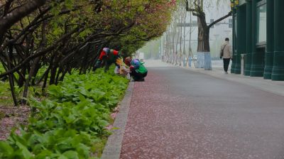 清晨雾中群力音乐公园