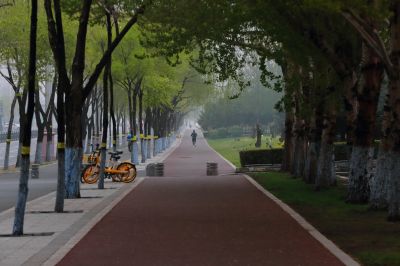 清晨雾中群力音乐公园