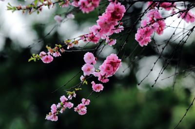 哈尔滨的夏季