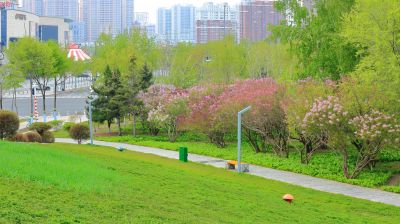 哈尔滨的夏季
