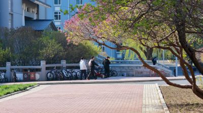 哈尔滨的夏季