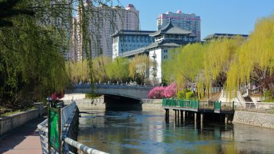 哈尔滨的夏季