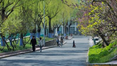 哈尔滨的夏季