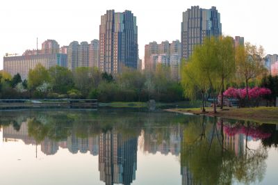丁香公园