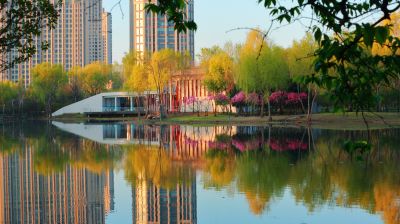 丁香公园