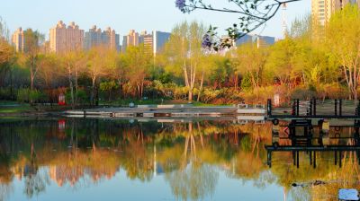 丁香公园