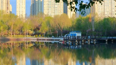 丁香公园