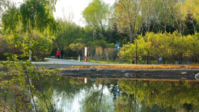丁香公园