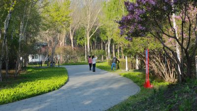 丁香公园
