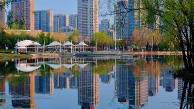 哈尔滨的夏季体育公园花开