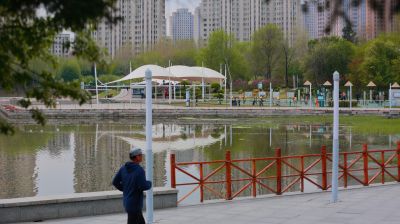 哈尔滨的夏季体育公园花开