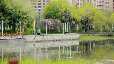 哈尔滨的夏季体育公园花开