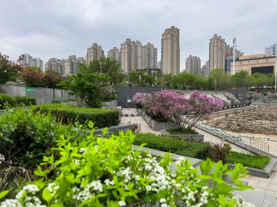 哈尔滨的夏季金河公园花季