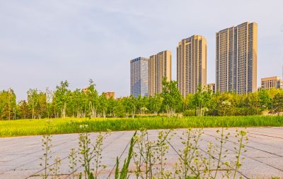 外滩湿地春色