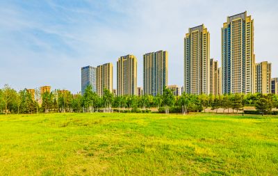 外滩湿地春色