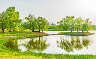 外滩湿地春色