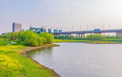 外滩湿地春色 (23)