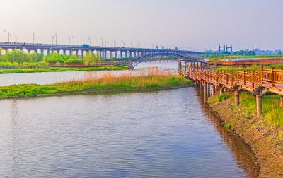 外滩湿地春色 (23)