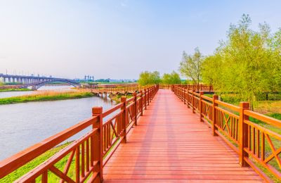 外滩湿地春色 (23)