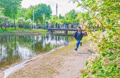 丁香公园丁香花开游人游玩