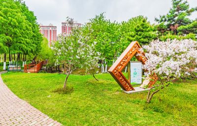 雨阳公园春色