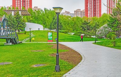 雨阳公园春色