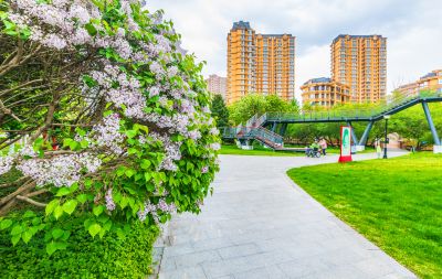 雨阳公园春色