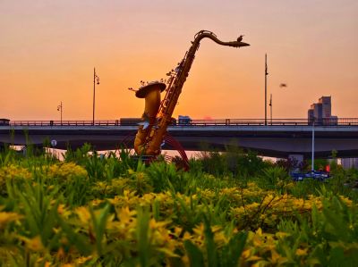 2025年5月21日阳明滩湿地春天丁香花海
