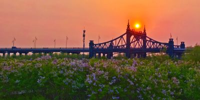 2025年5月21日阳明滩湿地春天丁香花海