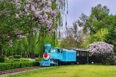 2025年5月20日儿童公园小火车 丁香花海